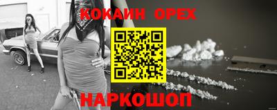 хмурый Кингисепп