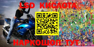 хмурый Кингисепп