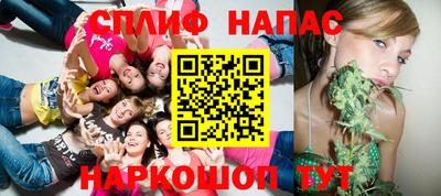 хмурый Кингисепп