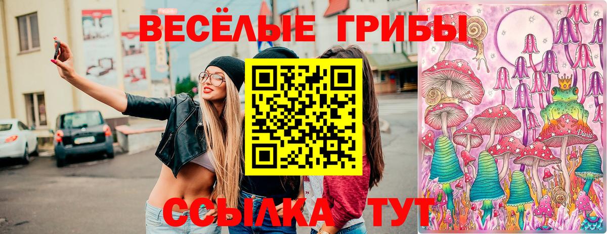 Верхняя Салда  что такое   Вход с VPN  Галлюциногенные грибы Psilocybe 